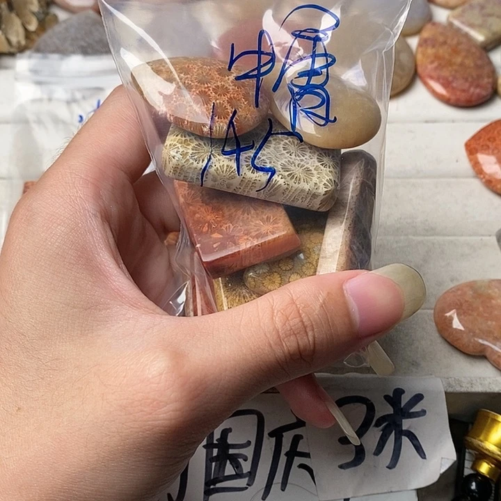 硅化玉颈饰未镶嵌中*