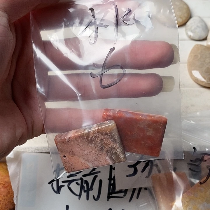 硅化玉颈饰未镶嵌小****门