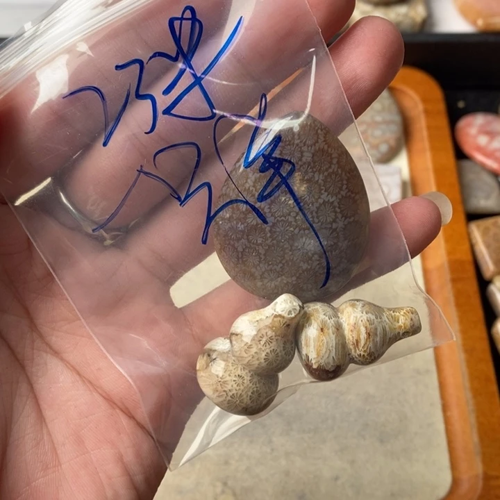 硅化玉颈饰未镶嵌一**?