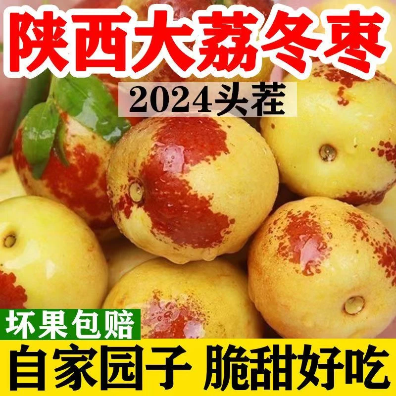 正宗陕西大荔冬枣嘎嘣脆大枣冰糖枣时令孕妇当季新鲜水果新鲜冬枣