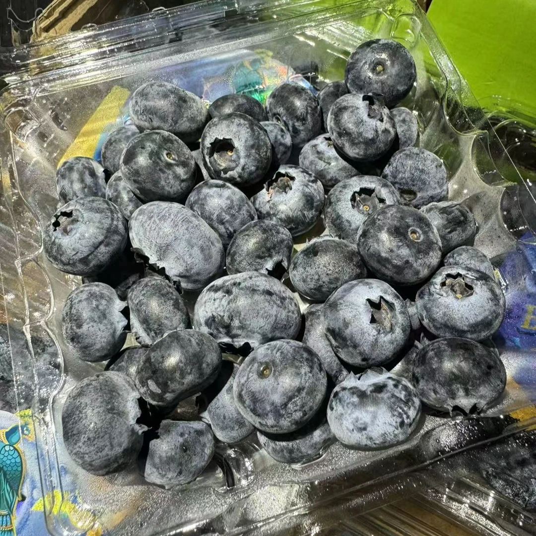 【 陈灵岳甄选】“蓝孔雀”云南新鲜蓝莓18+大果 单盒净重125g