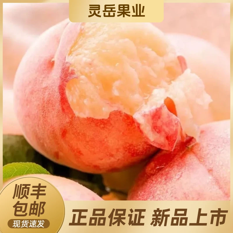 【陈灵岳甄选】无锡水蜜桃爆甜多汁6-8粒装 单果净重4-8两左右