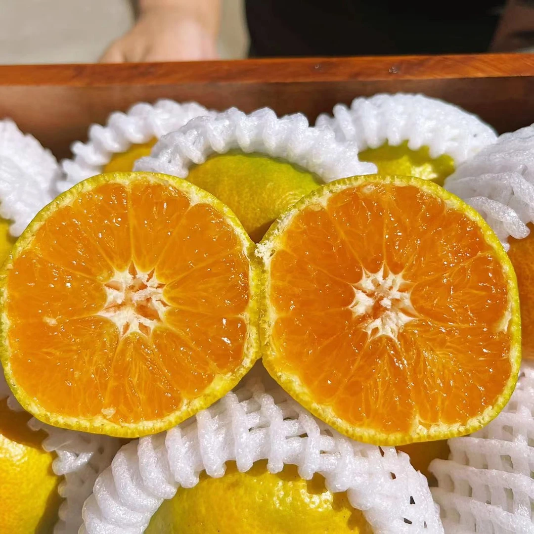 【超级福袋】 蜜橘一份