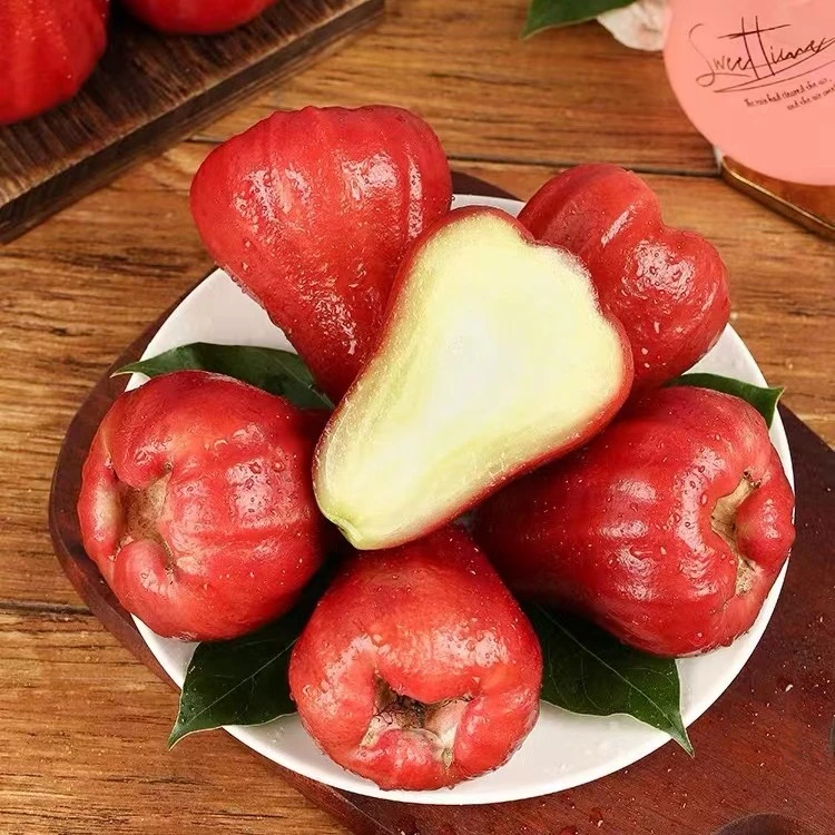 【陈灵岳甄选】海南黑金刚莲雾中果礼盒装一箱 净重约2.8斤