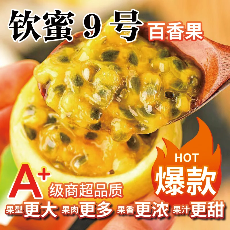 【顺丰包邮·张总补贴】果王6枚尝鲜装（90+）