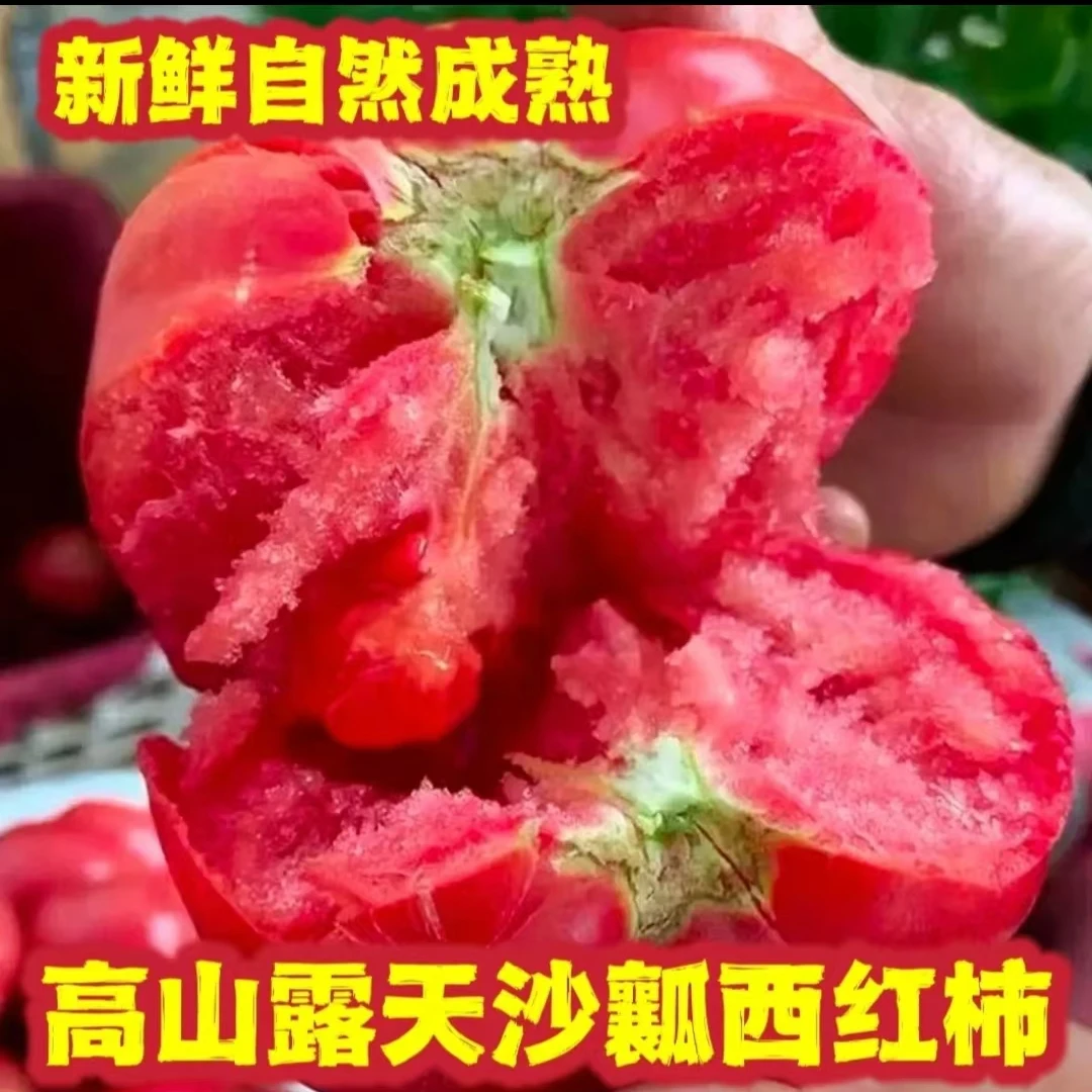 【京东快递】沙瓤西红柿攀枝花新鲜番茄露天种老品种沙瓤番茄