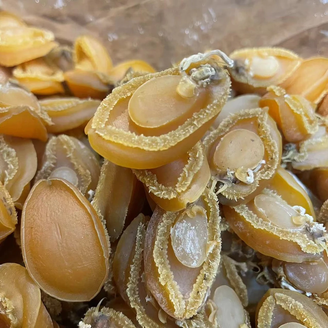 大连鲍鱼 40头 煲汤靓料鲜甜