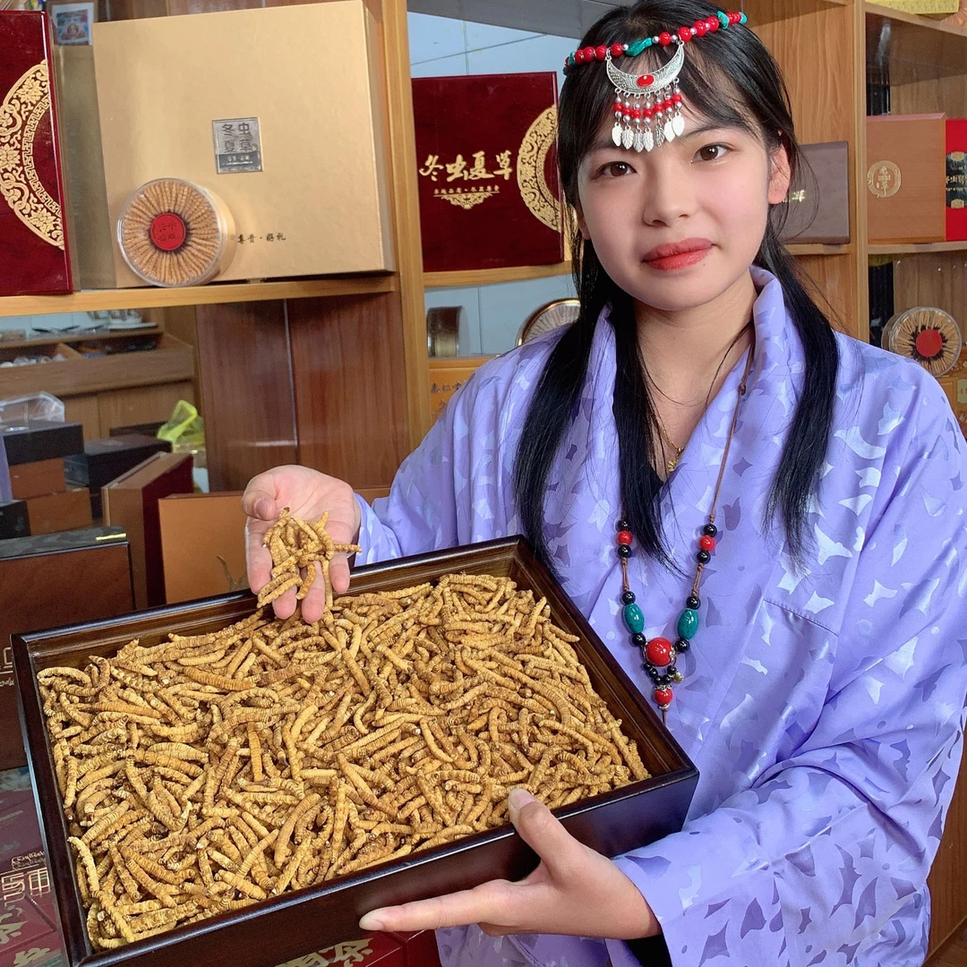【超大断草】 西藏那曲超大断草10克30克100克2024年头茬干断草