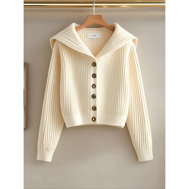 慵懒高级感针织开衫女2025秋冬新款显瘦百搭宽松休闲翻领毛衣外套