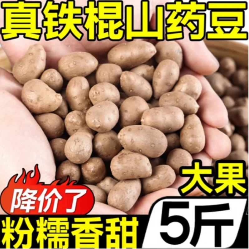 铁棍山药豆5斤当季现摘农家铁杆小山药现摘新鲜蔬菜蒸煮炒菜