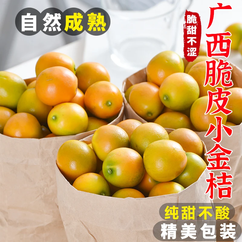 【纯甜不酸】广西桂林脆皮金桔3/5斤桔子应当季现摘新鲜水果包邮A1