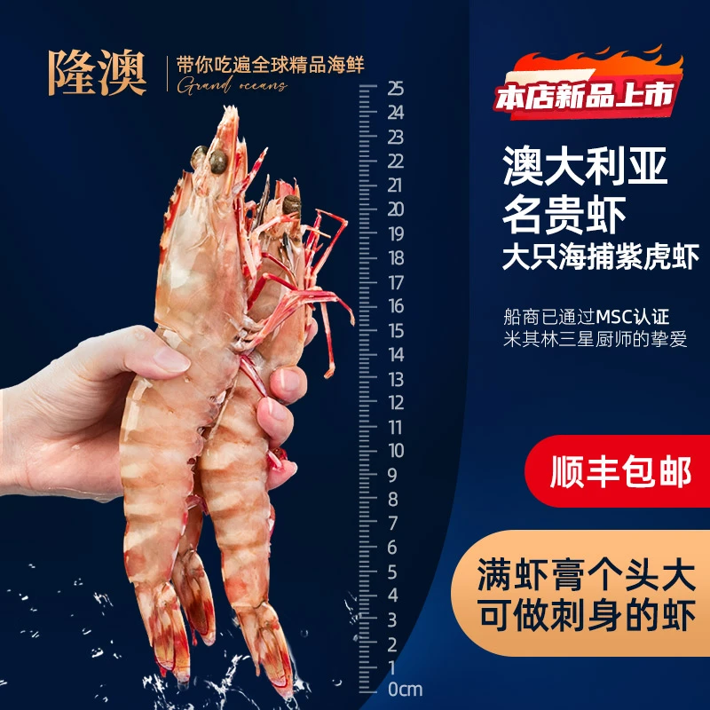 隆澳优鲜 澳大利亚野生海捕紫虎虾