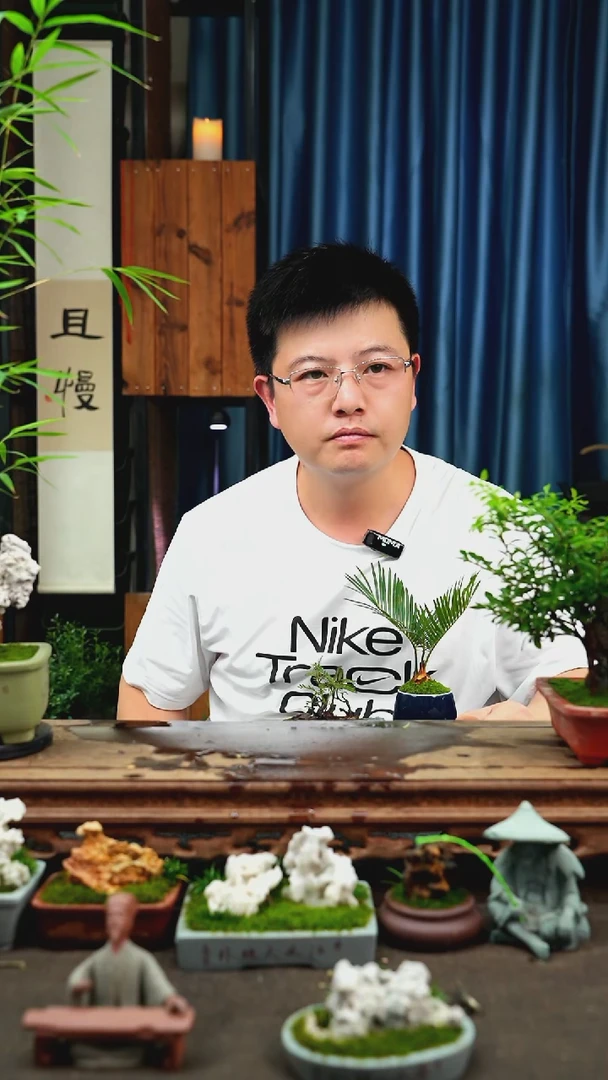 【闪购商品】苔藓微景观170号