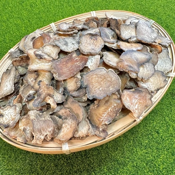 大自然藏乌麻 原色天麻