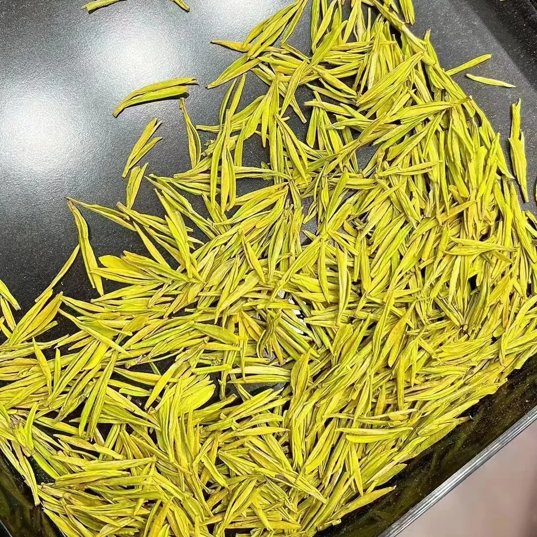 安吉早奶白茶熊猫奶白口感丝滑