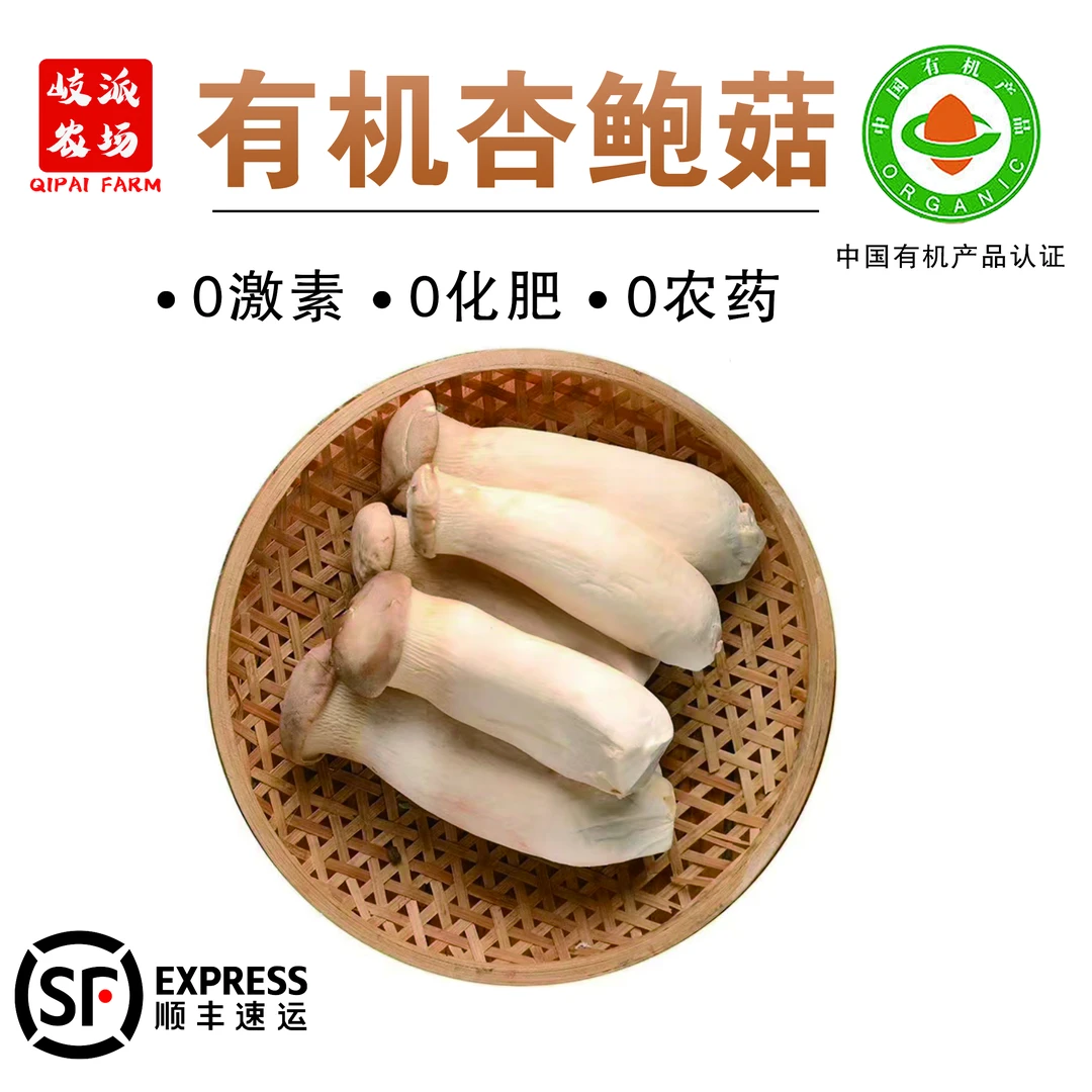 【顺丰包邮】有机杏鲍菇中国有机认证新鲜蔬菜健康基地直发0药残2斤