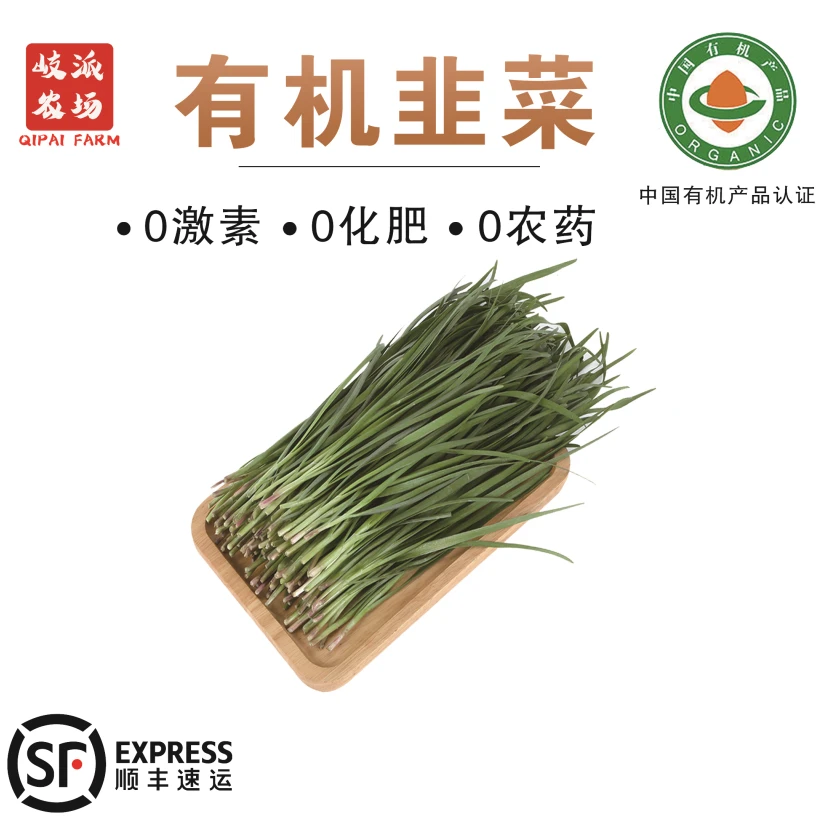 【顺丰包邮】有机韭菜0药残0农残0化肥有机认证新鲜现挖2斤
