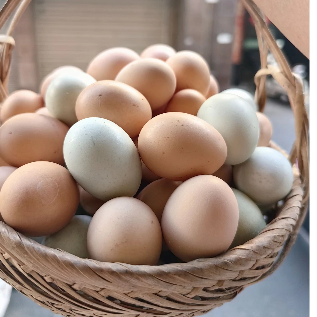 春菊家散养土鸡蛋