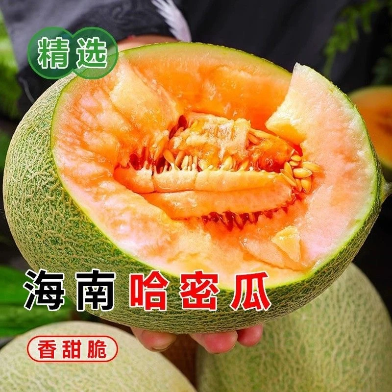 海南哈密瓜玫珑蜜瓜当季新鲜水果冰淇淋网纹瓜新疆吐鲁番哈蜜瓜