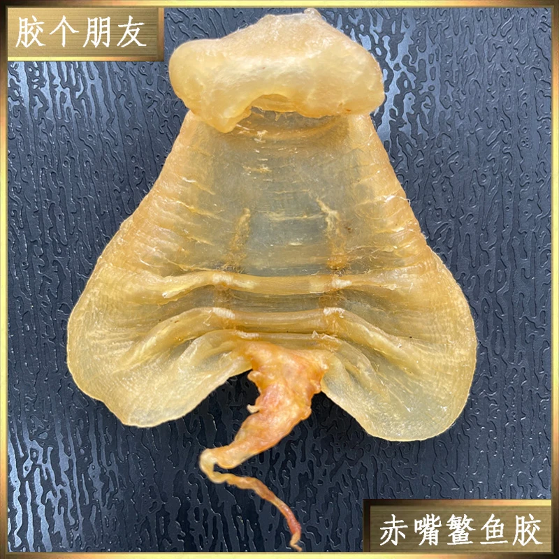 胶个朋友直播间赤嘴鳘鱼胶1-500g（改价链接）