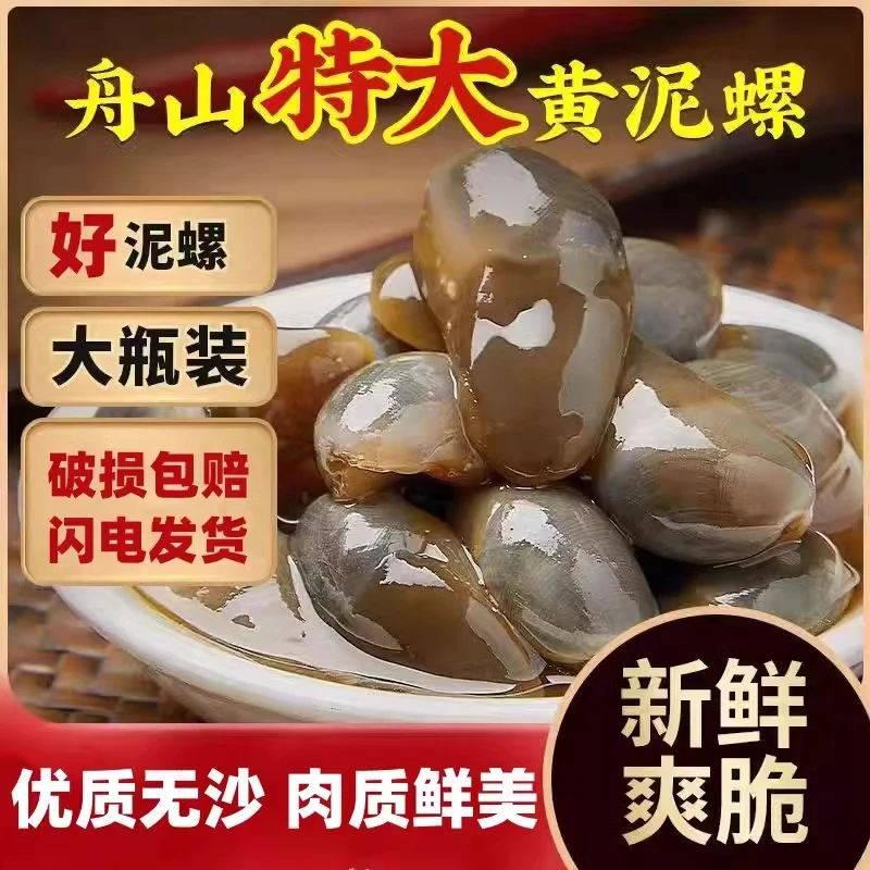 醉泥螺特大泥螺皇特大无沙新鲜黄泥螺即食龙山泥螺海螺宁波特产