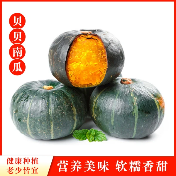 正宗真贝贝南瓜 粉糯香甜板栗味 产地现摘现发 孕妇宝宝辅食1-9斤