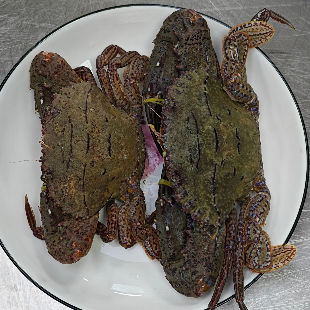 【黑猴石头蟹】2斤保鲜不保活有可能断腿介意勿拍福建省内可拍