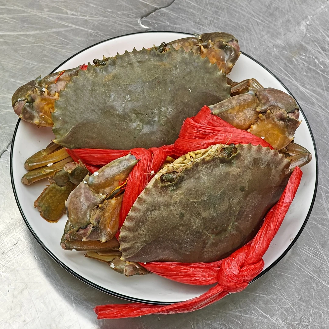 【野生红鲟】天然红鲟（包活到家-限福州同城可拍)