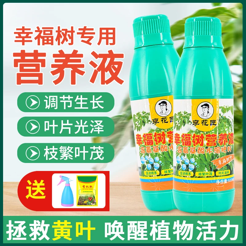 幸福树肥料专用肥幸福树营养液室内专用型发财树绿宝花肥料土绿叶