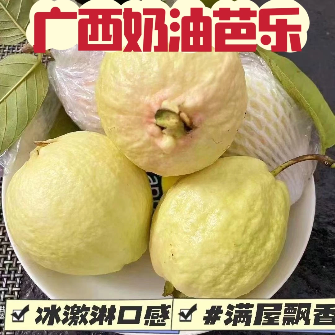 【冰淇淋奶油】芭乐白心软糯香甜番石榴广西新鲜现摘水果包邮老树果