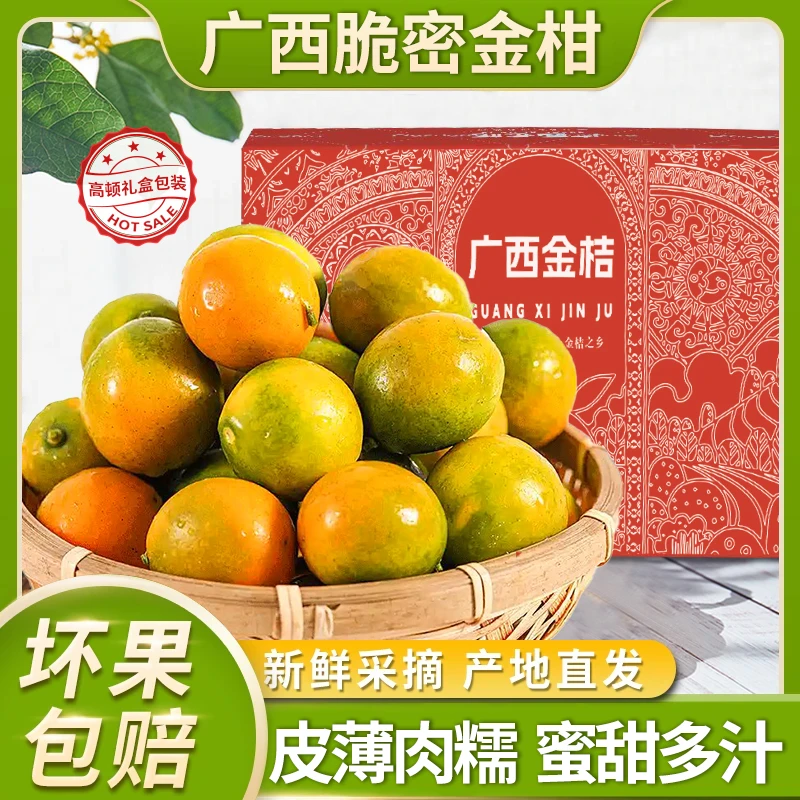 【礼盒装特大果3斤】鸡蛋大小融安金桔送礼带皮吃的水果现摘先发