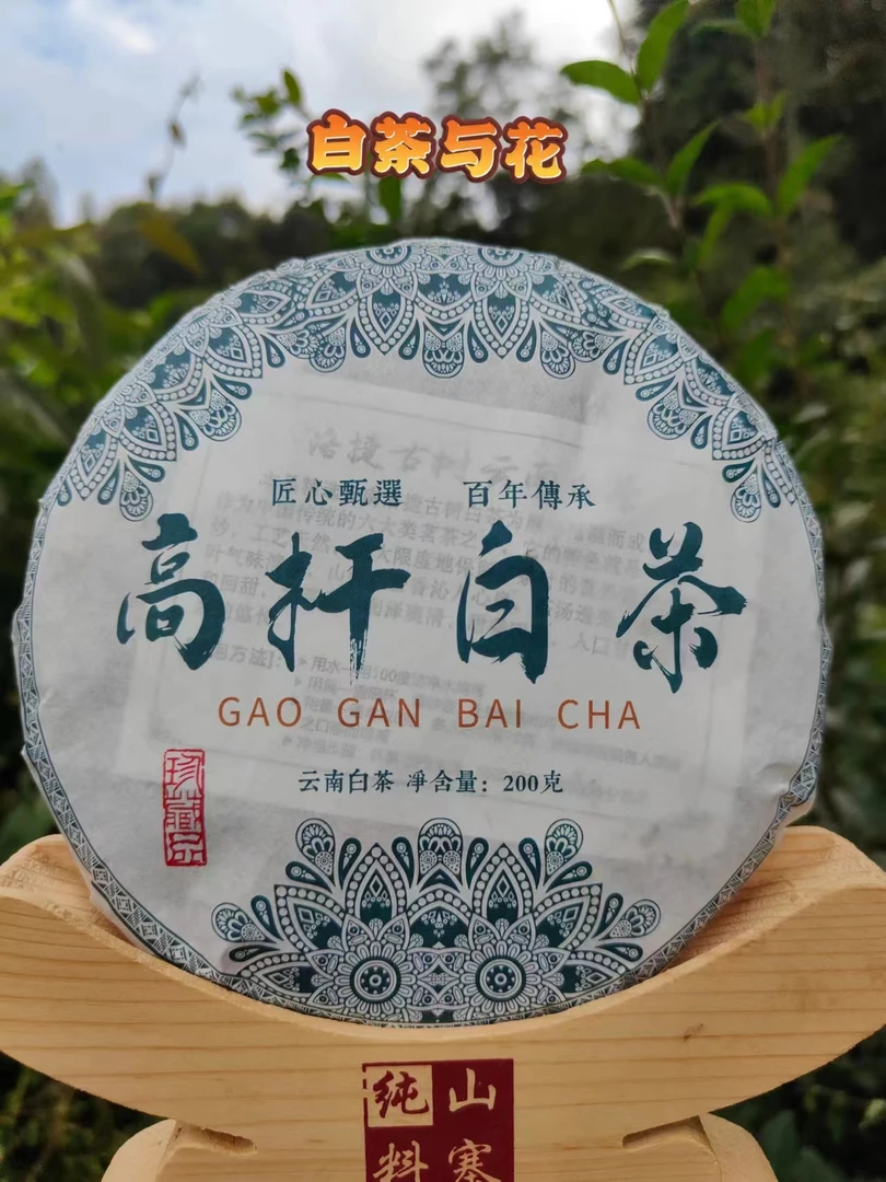 《高杆白茶》山背后饼