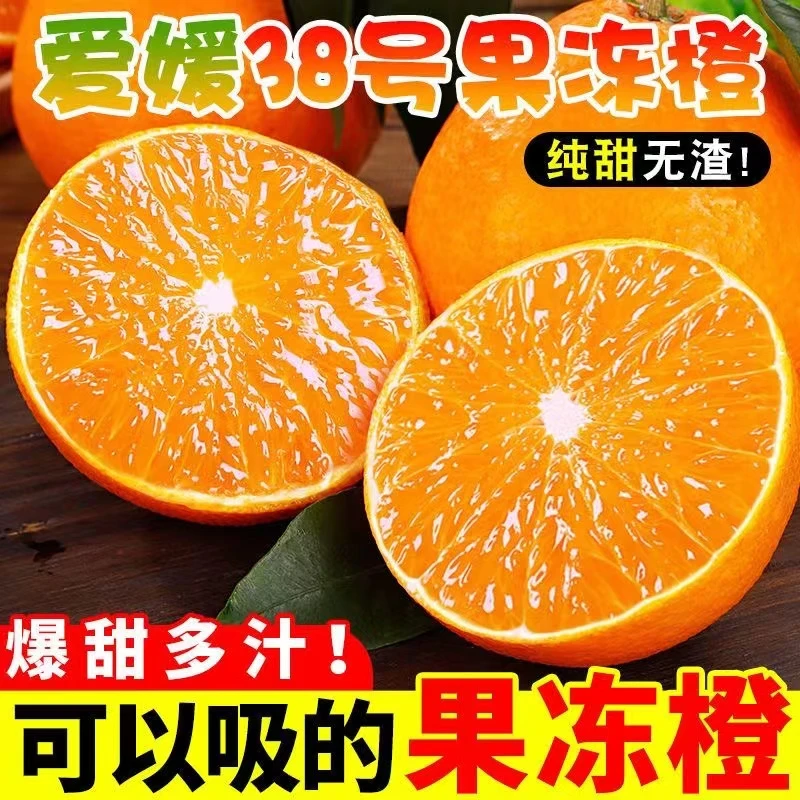 正宗四川爱媛38号果冻橙4.5斤 新鲜现摘现发 鲜嫩多汁 果肉饱满