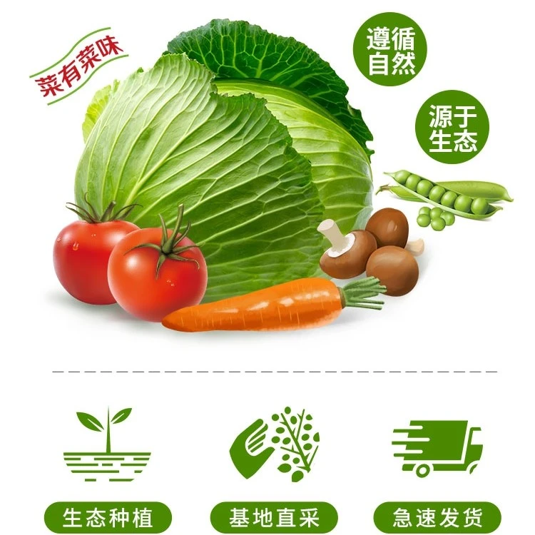 金普溯源蔬菜组合5斤1箱新鲜采摘 送货上门