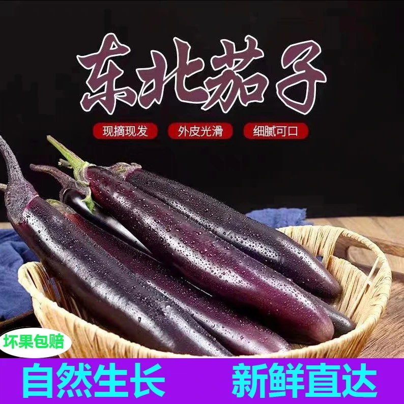大连神农谷茄子净重2斤新鲜采摘，京东送货上门