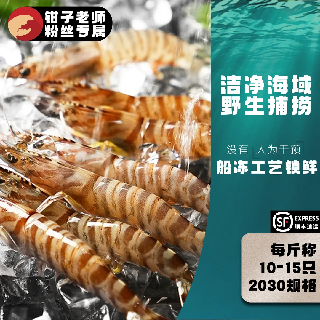 野生深海海捕竹节虾 九节虾 鲜活速冻20-30规格斑节虾