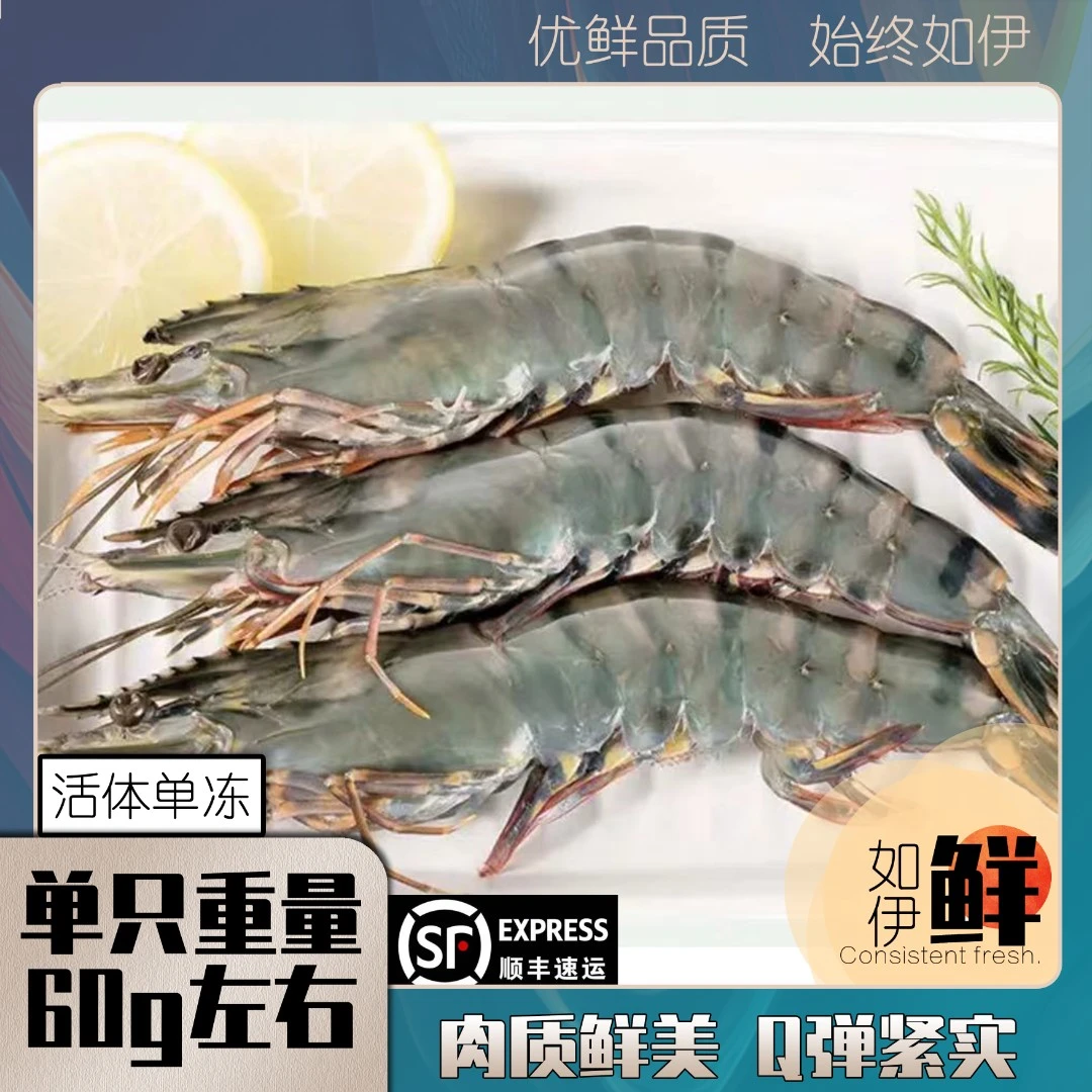 【钳子精选】船冻马来西亚黑虎虾活冻黑金刚海虾600g/10只/盒两盒装