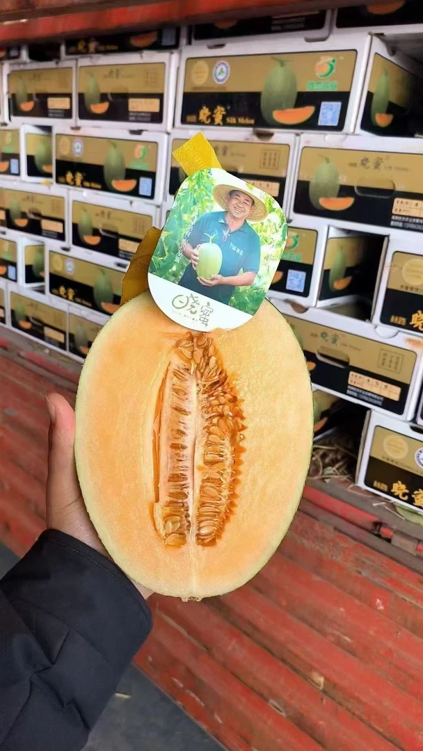 海南蜜瓜 半个 约1000g