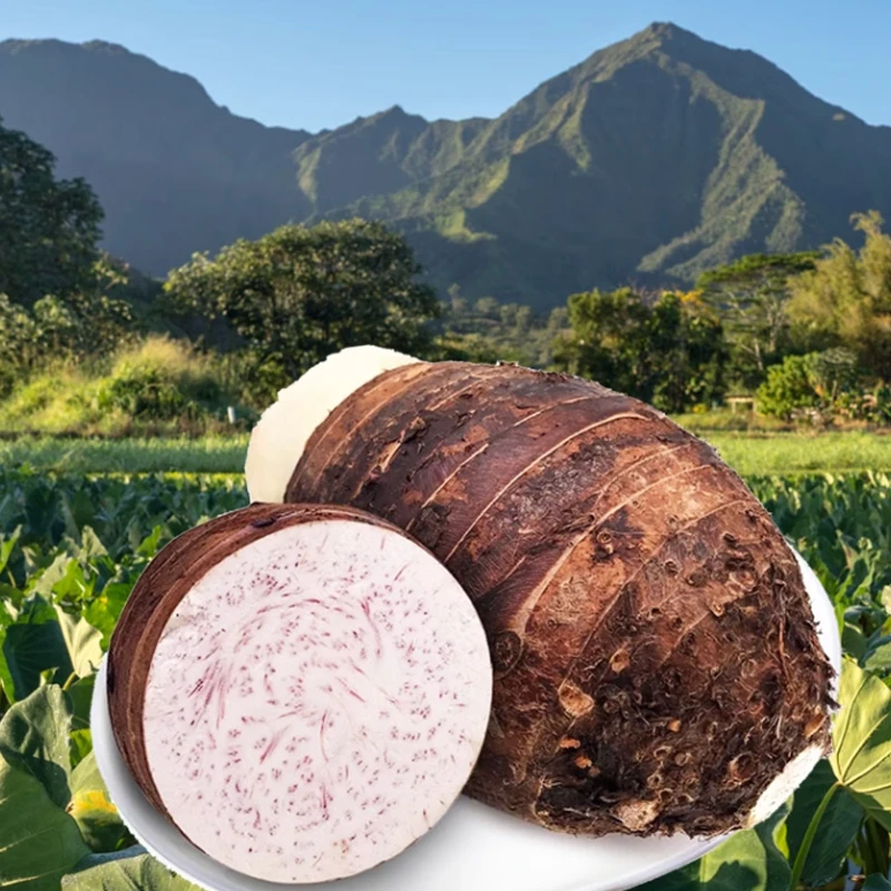 桂林荔浦芋头正宗新鲜芋头粉嫩香糯口感细腻饱满产地直发品质保证