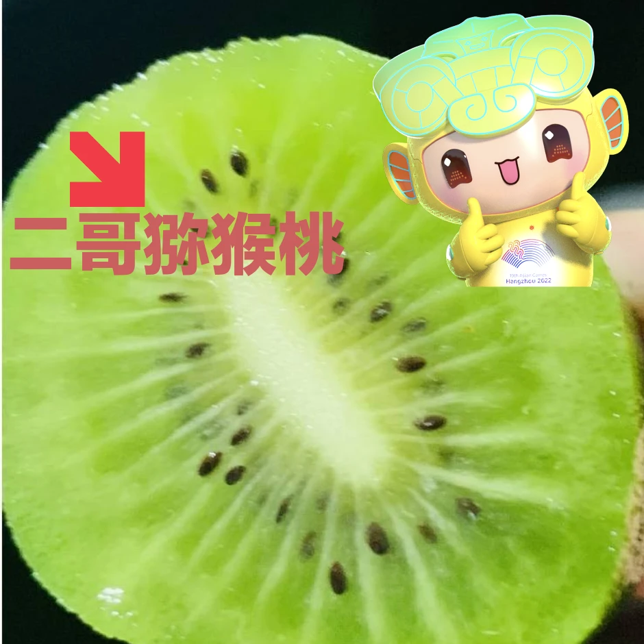 翠香猕猴桃挂到自然熟自然选择优剩劣汰2-5斤装现采现发不进冻库