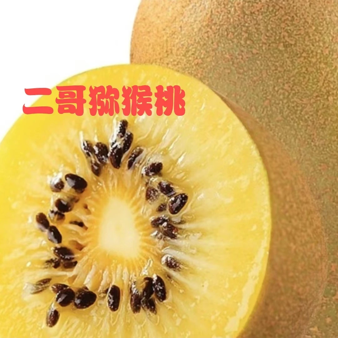 黄金奇异果挂到立冬小雪之后软糯细化香甜可口大果12枚2.5斤装