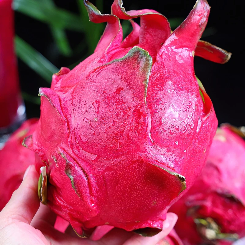 【精品大果】广西金都一号红心火龙果新鲜现摘现发5斤越大越甜