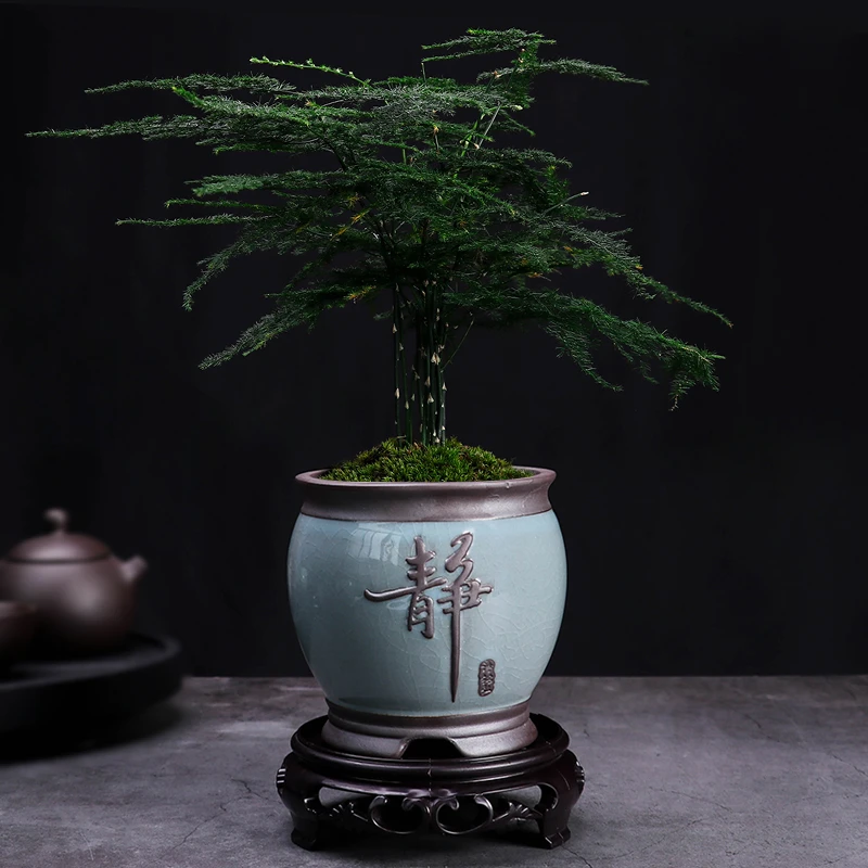 源老舍哥窑陶瓷花盆禅意绿植花盆冰裂纹文竹种植盆办公室客厅花盆