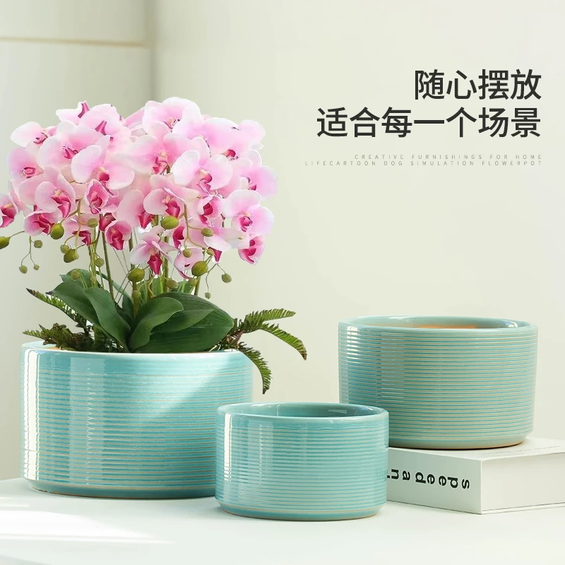 简约风横纹蝴蝶兰专用陶瓷绿植花盆家用透气客厅摆件装饰大小盆栽