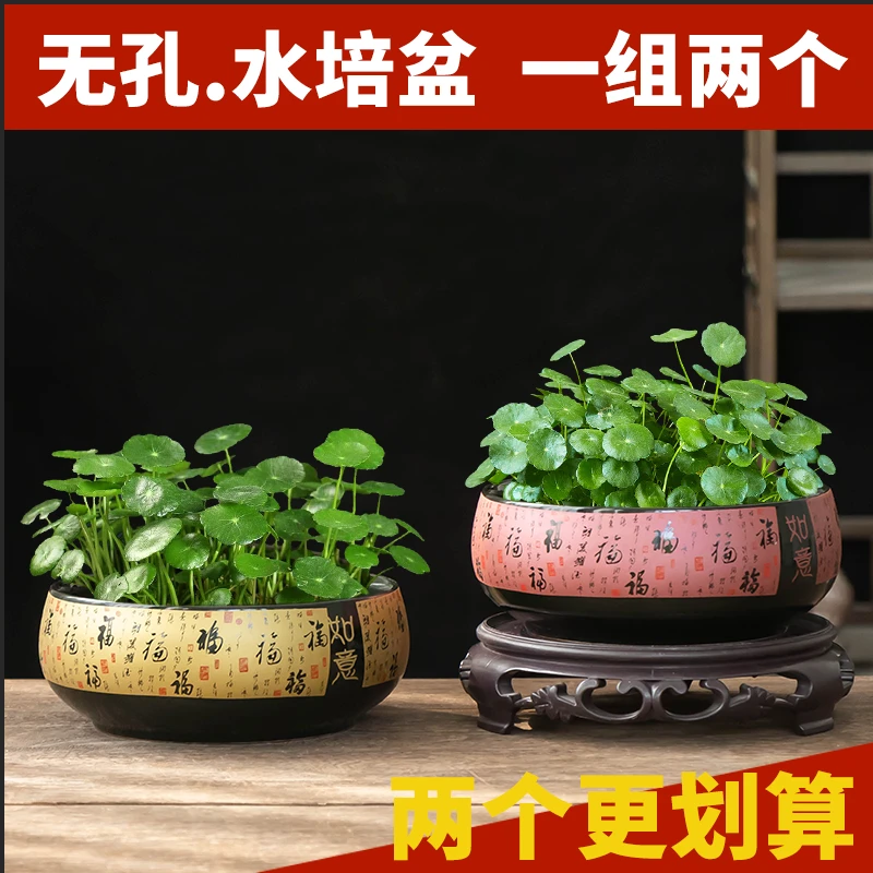 中式百福如意寓意无孔铜钱草陶瓷水培花盆室内客厅金钱草水培器皿