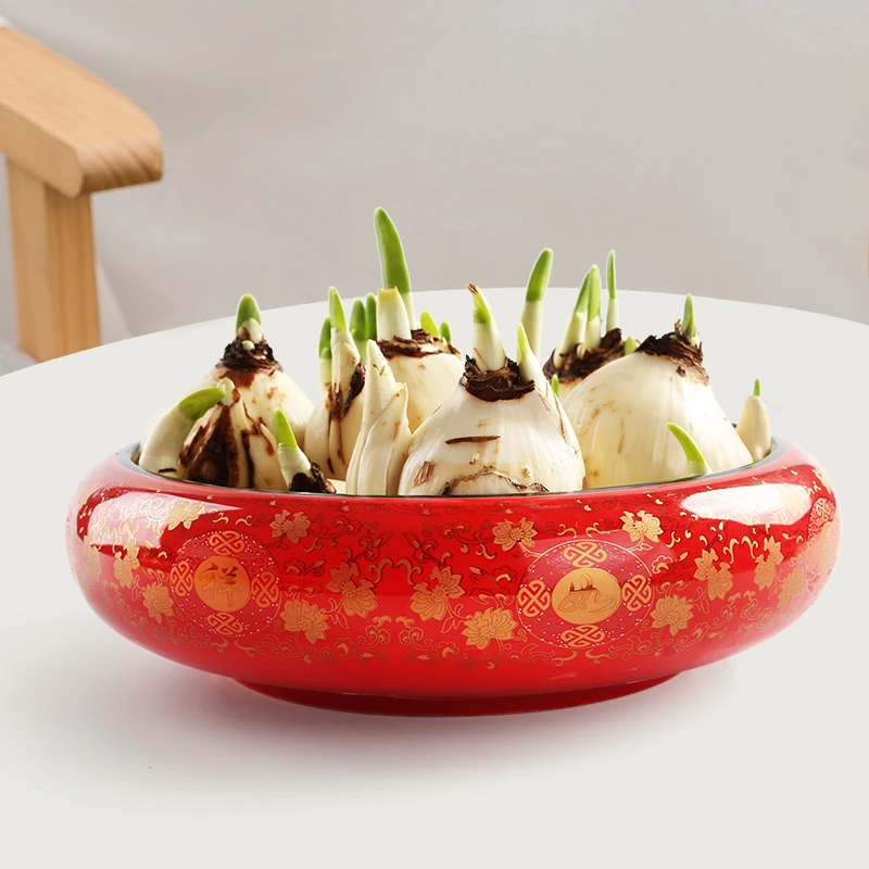 水仙花水培盆铜钱草的花盆水培植物水养陶瓷大号创意个性红色新年