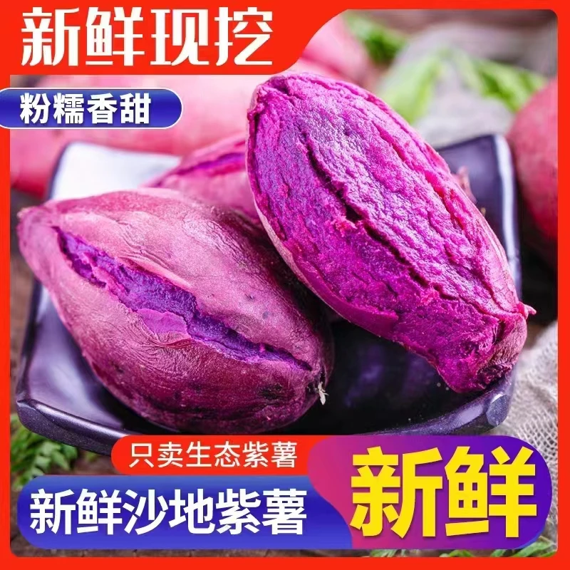 【现挖现发】新鲜农产品香甜紫薯5斤装沙地紫薯