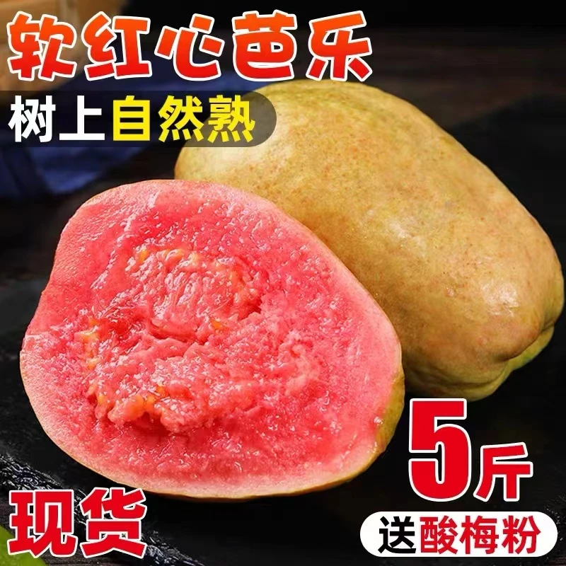 【软硬两吃】红心软芭乐老树番石榴新鲜软糯水果送酸梅粉净重 5斤装