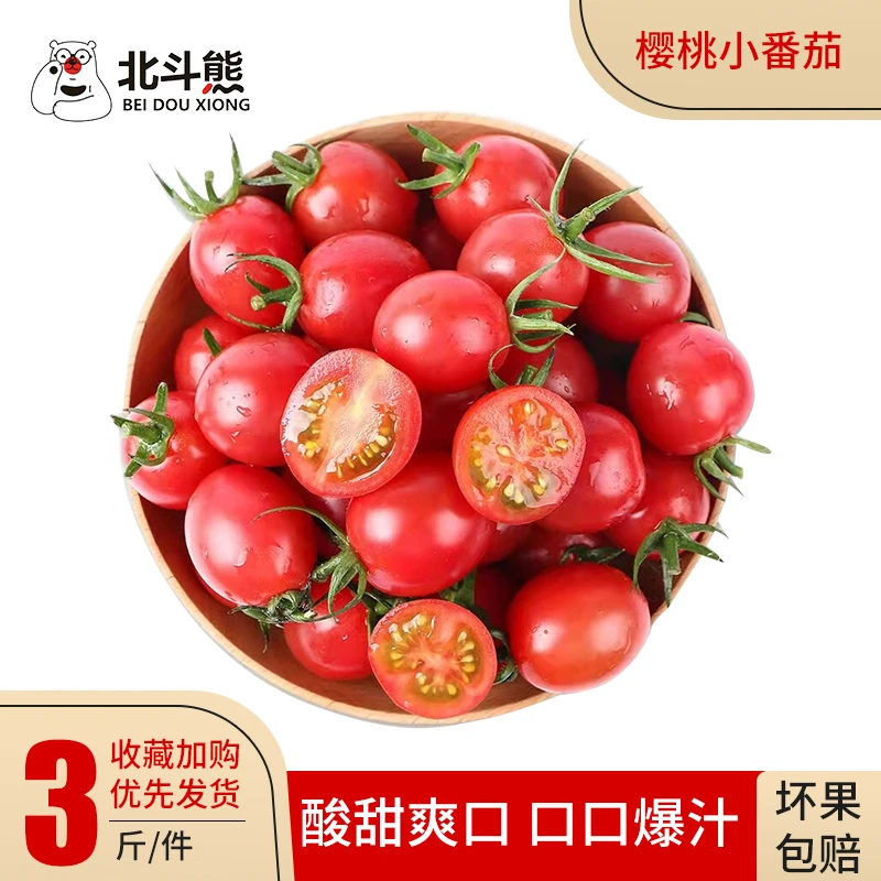 无品牌【精品】山东圣女果樱桃现摘小番茄3/5斤