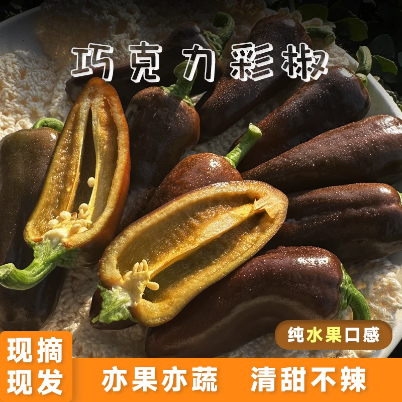 蔬菜水果椒1/3斤迷你小辣椒巧克力健身沙拉食材